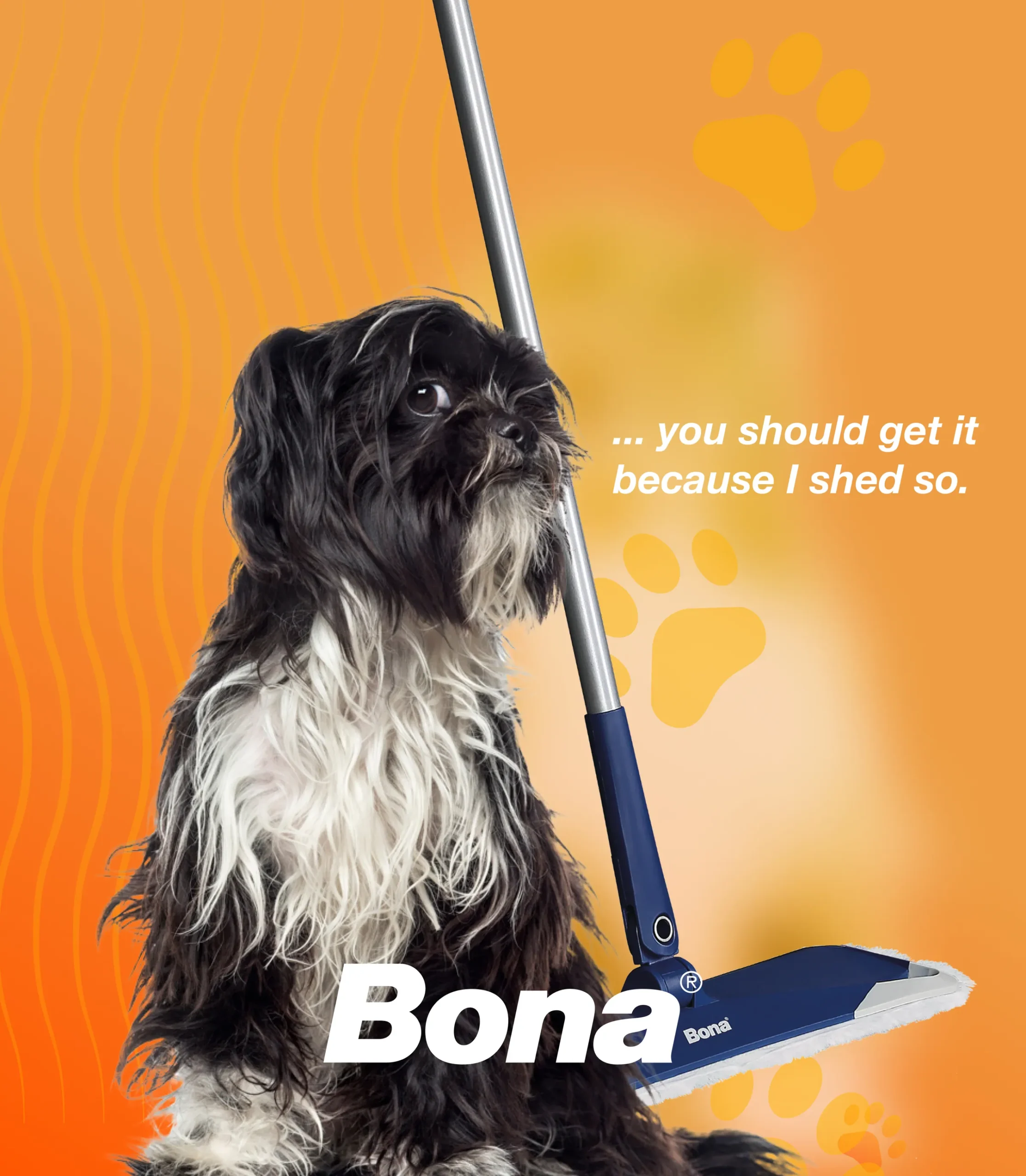 A shaggy dog beside a Bona mop: “You should get it, because I shed so.”